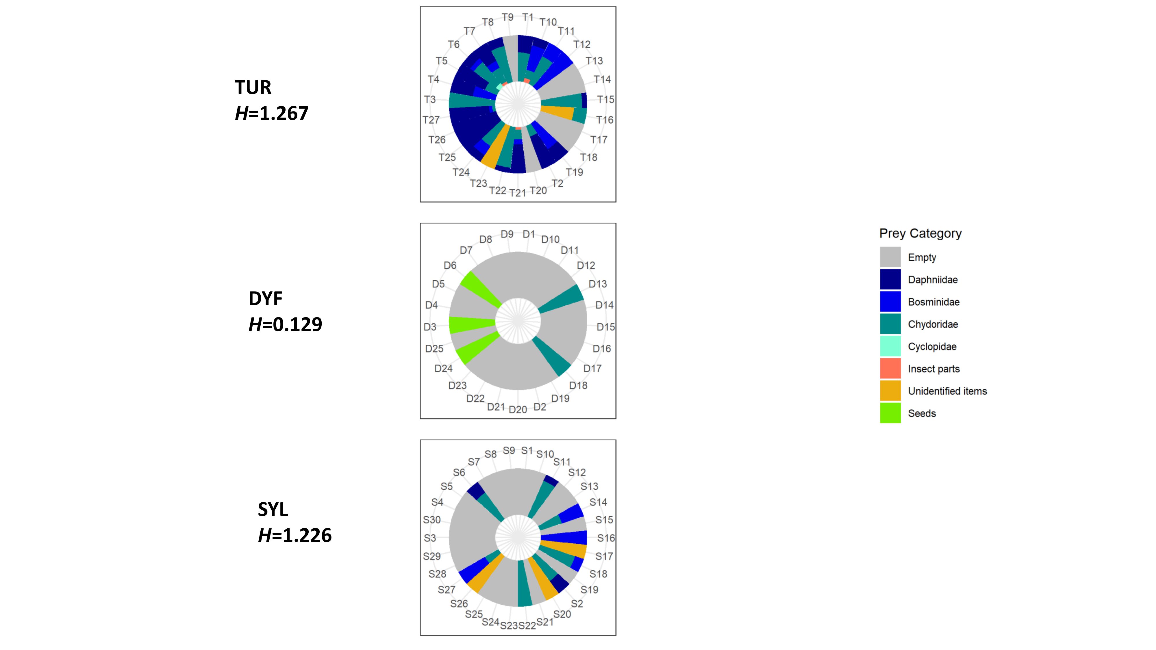 Trophic Plasticity of the Highly Invasive Topmouth Gudgeon (Pseudorasbora parva) Inferred From Stable Isotope Analysis